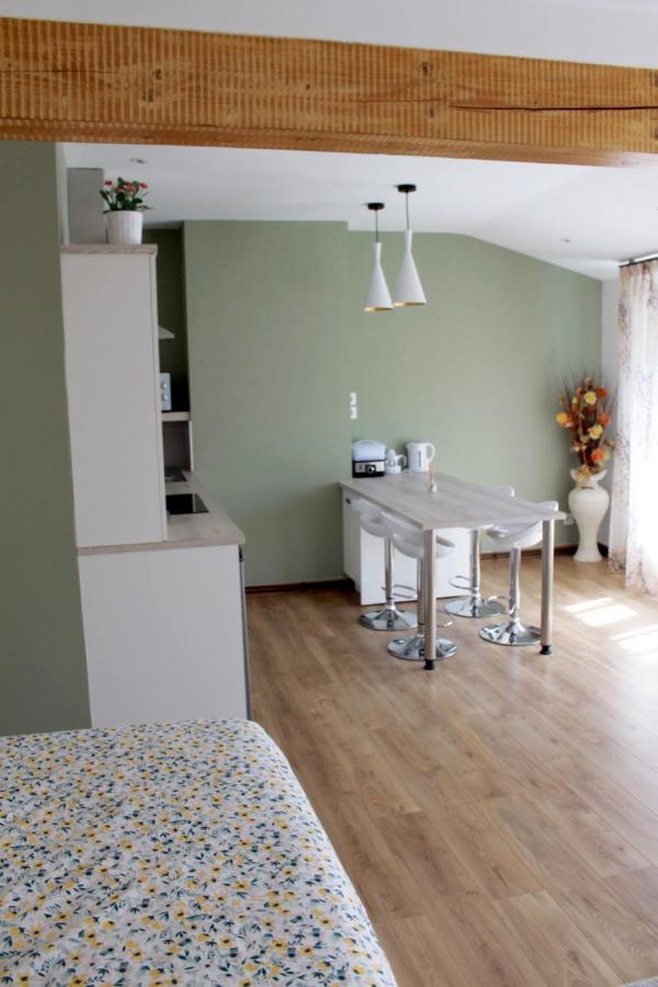 Saint Etienne : Appartement Chateaucreux 40 M2 Exterior photo