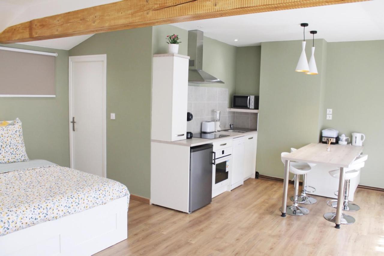 Saint Etienne : Appartement Chateaucreux 40 M2 Exterior photo